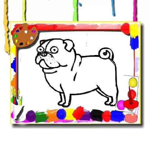 Kids Coloring Time